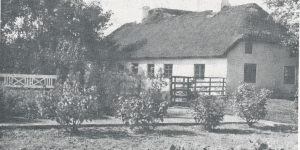 Nygaard 1982